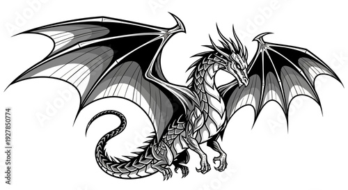 Detailed illustration of a dragon with large wings on a white background