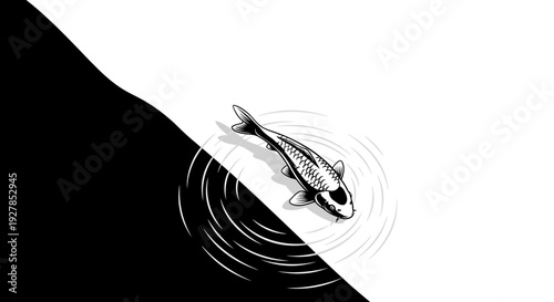Koi fish illustration artistic rendering in black and white with ripples