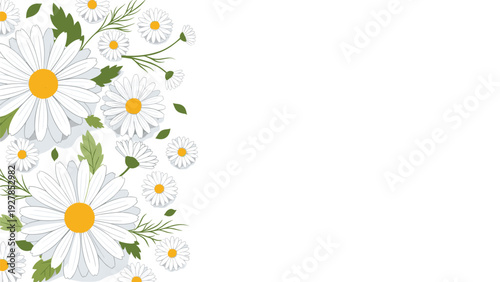 Elegant composition of white daisies and green leaves arranged along the left edge of a clean white background with copy space.