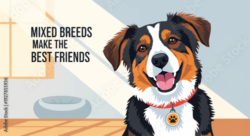 Friendly mixed breed dog with brown black and white fur sitting indoors with a red collar and a dog tag