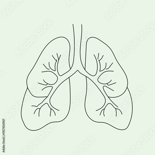 Minimal Line Art Lungs flat vector