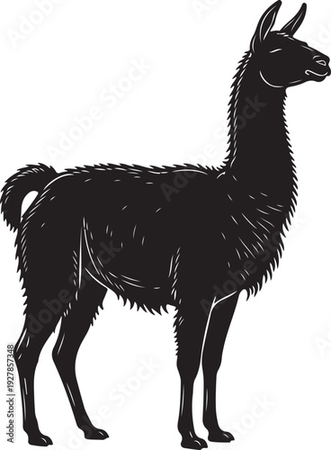 Black silhouette of a llama standing, isolated on white background