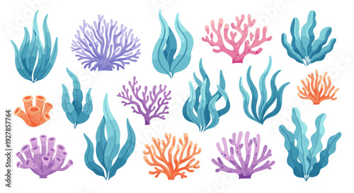Vibrant underwater coral reef and seaweed collection in various colors and shapes creating a lively marine ecosystem illustration