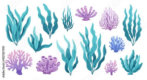 Vibrant underwater seaweed and coral collection diverse aquatic plants and marine life elements in various shades of blue and purple
