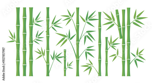 Vibrant green bamboo stalks and leaves arranged in a decorative pattern on a white background, symbolizing nature and tranquility.