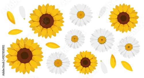 Vibrant Collection of Sunflowers and Daisies with Scattered Petals on a Clean White Background