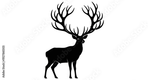 Silhouette of Deer with Antlers.