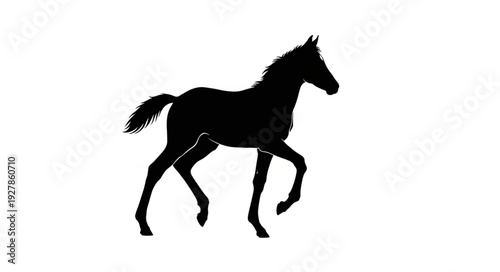 Running Horse Silhouette Isolated White.