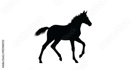 Running Horse Silhouette Profile View.