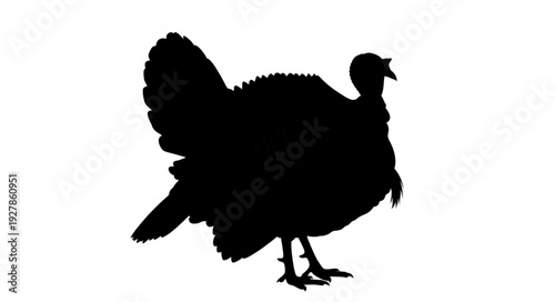 Silhouette of a Turkey Bird.