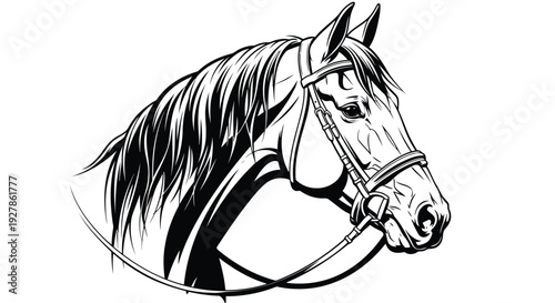 Majestic horse head in elegant bridle and harness