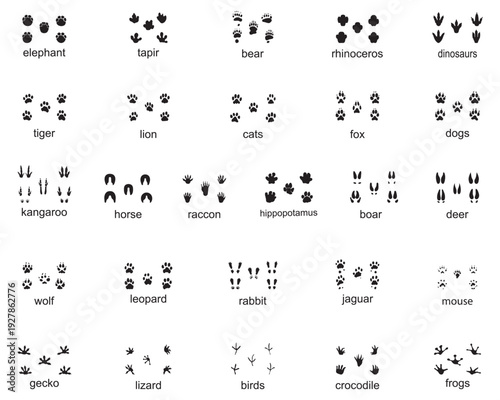 Collection of animal and dinosaur footprints in black silhouette