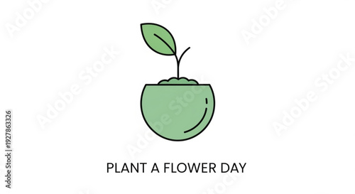 Green plant sprout growing from soil in a pot on plant a flower day with a leafy top