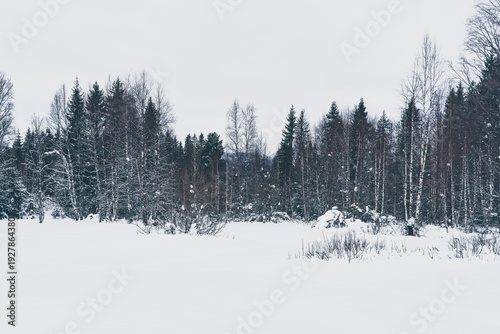 Winter landscape from the Hurdalsjøen Nature Reserve, Hurdal, Norway, February 2026.