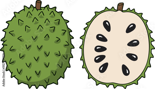 Soursop Fruit Whole and Sliced Section