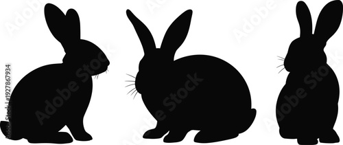 Rabbit silhouette trio in side and front views, black bunny shapes isolated on white background, cute woodland animal illustration