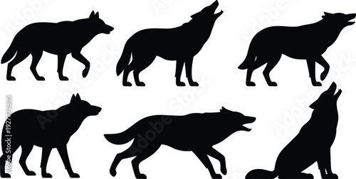 Wolf silhouettes in various poses isolated on white background, wild animal vector set featuring standing, walking, running and howling wolf collection