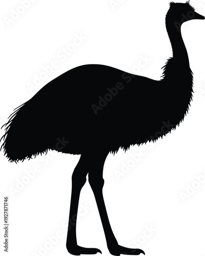 Black silhouette of an emu bird, side view of Australian flightless wildlife, isolated on white background, vector animal profile for design.