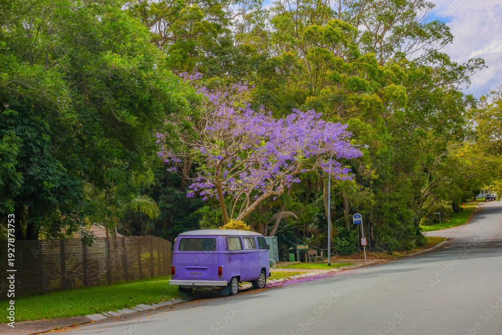 Fototapeta premium A purple van under a tree, purple flowers, in spring.