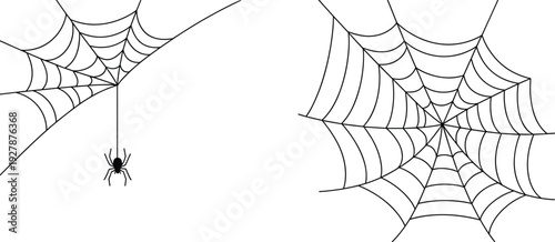 Black and white spider web illustration featuring detailed cobweb designs with hanging spider, isolated on light background for Halloween decoration and graphic design use