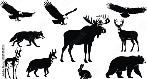 Black silhouettes of wild animals set, vector collection of forest wildlife including eagle, moose, bear, wolf, and deer isolated on white.