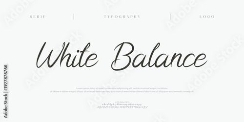 White Balance, Script premium luxury elegant alphabet letters and numbers. Elegant wedding typography classic serif font decorative vintage retro. Creative vector illustration
