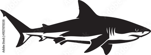 Black silhouette of a shark swimming in side view, isolated on white background