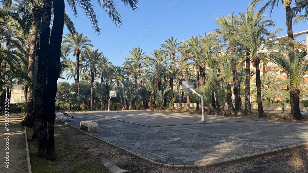 Fototapeta premium Basketball Court under Palm Trees: An inviting basketball court, nestled beneath a canopy of swaying palm trees, offering a perfect blend of sport and serenity.