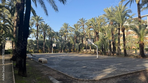 Basketball Court under Palm Trees: An inviting basketball court, nestled beneath a canopy of swaying palm trees, offering a perfect blend of sport and serenity.