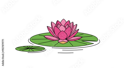 Pink Water Lily on Green Leaf.