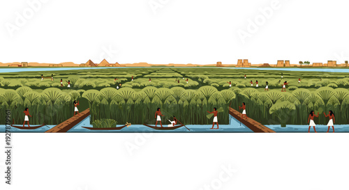 Traditional Boats Sailing Through Mangrove Forest.