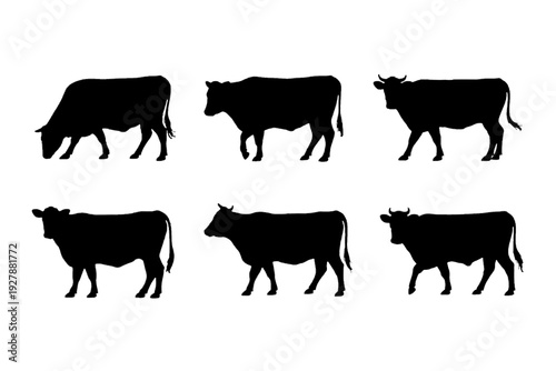 Cattle Silhouette Collection: A collection of six sleek silhouettes of cattle, capturing the graceful form and iconic posture of these domestic farm animals. 