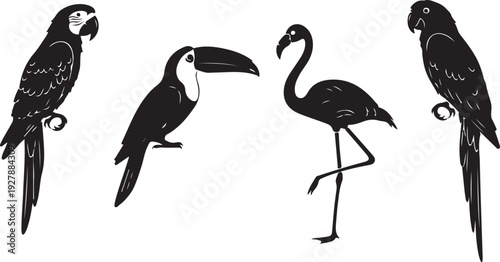 tropical bird silhouette collection parrot toucan flamingo macaw