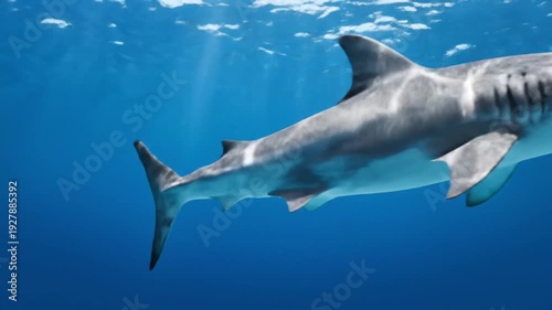 Majestic shark gliding through crystal clear ocean waters with sunlight rays