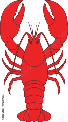 Red lobster with black outline crustacean seafood animal