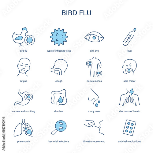 Bird Flu symptoms, diagnostic and treatment vector icon set