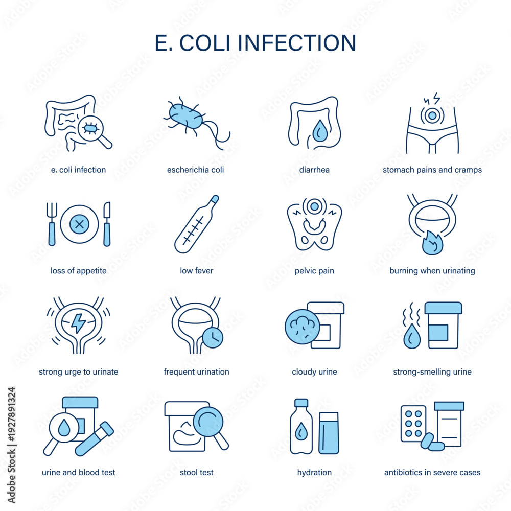 Naklejka premium E. Coli Infection symptoms, diagnostic and treatment vector icon set