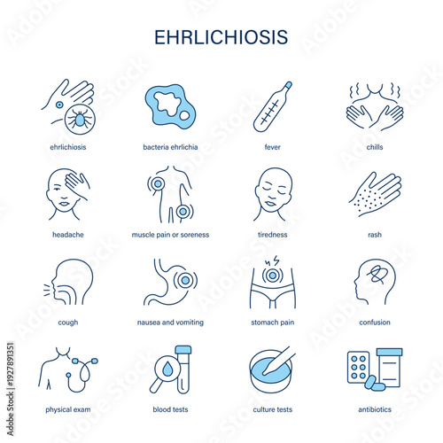 Ehrlichiosis symptoms, diagnostic and treatment vector icon set
