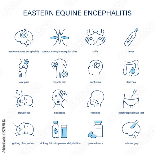 Eastern Equine Encephalitis symptoms, diagnostic and treatment vector icon set