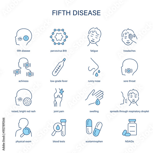 Fifth Disease symptoms, diagnostic and treatment vector icon set