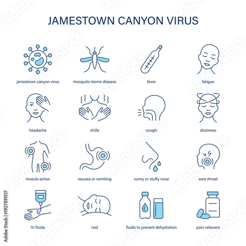 Jamestown Canyon Virus symptoms, diagnostic and treatment vector icon set