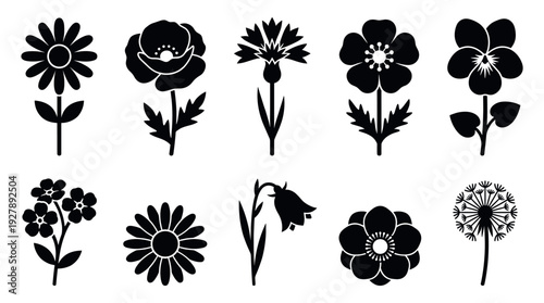 Collection of ten black floral silhouettes featuring various garden and wild flowers like daisy, poppy, and dandelion in a minimalist, graphic icon style for design elements