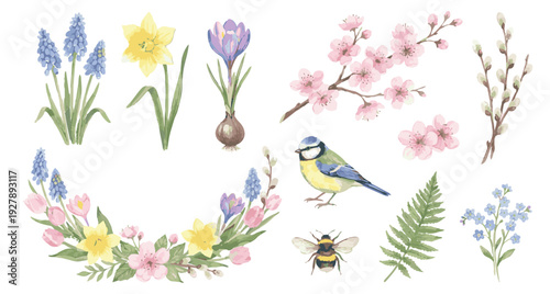 Watercolor spring botanical set with blossom branches bird, bee, fern, leaf. Collection of Vector illustrations. Perfect for invitation, card, poster, banner, decoration