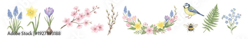 Watercolor meadow florals with muscari, daffodil, crocus, sakura, blue tits. Collection of Vector illustrations. Perfect for invitation, card, poster, banner, decoration