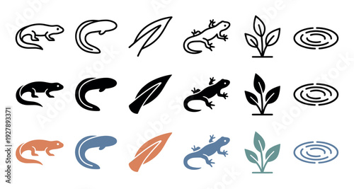 Collection of nature and wildlife vector icons featuring a salamander, tadpole, and aquatic plant presented in line art, silhouette, and flat color design variations