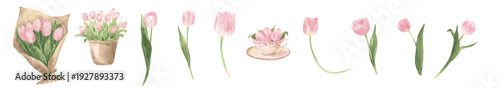 Painted spring tulip floral set with bouquet, pot flowers, teacup, isolated. Collection of Vector illustrations. Perfect for invitation, card, poster, banner, decoration