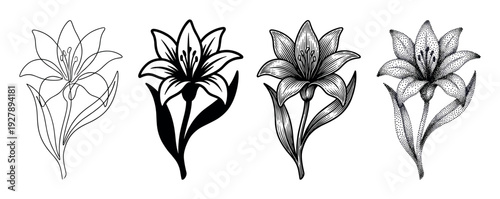 Collection of four lily flower graphics in different art styles, from minimalist line art and bold silhouette to detailed engraving and intricate pointillism dotwork