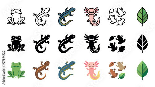 Collection of amphibian and reptile icons featuring a frog, lizard, salamander, and axolotl in various styles including line art, silhouette, and flat color vector illustrations
