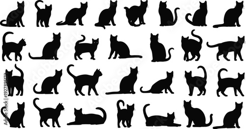 Set of black cat silhouettes showing different poses isolated on white background, domestic feline icons collection for design, logo, print, and decoration