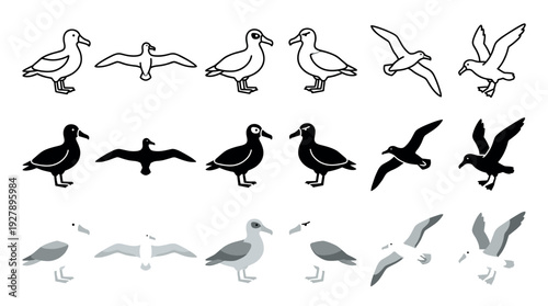 Collection of stylized seagull bird icons presented in three distinct graphic styles, including black line art, solid silhouette, and minimalist flat color design for a versatile set